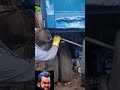 POWER MECANICO CASERO CON TORNILLO SINFIN #tainco #mechanic #welding