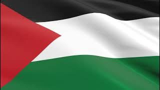 Flag of Palestine waving in the wind - Flag animation - Motion background - 4K UHD