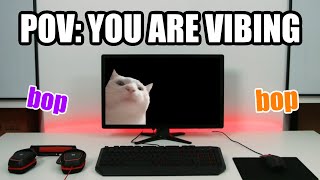 pov: you are vibing