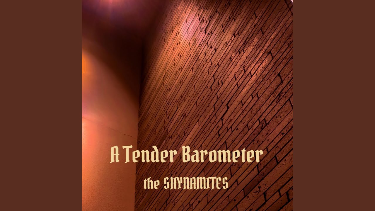 Watch A Tender Barometer (type D) on YouTube Watch A Tender Barometer (type D) on YouTube