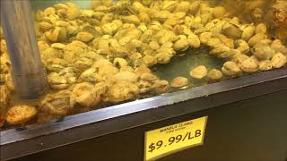 New Sagaya City Market - Lobsters/Clams/Oysters - Anchorage Alaska