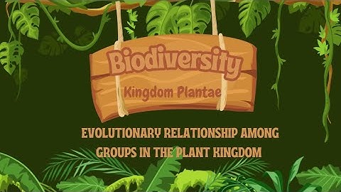 KINGDOM PLANTAE : EVOLUTIONARY RELATIONSHIP AMONG GROUPS IN THE PLANT KINGDOM