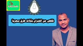 تخلص من الفئران بثلاث طرق سحرية