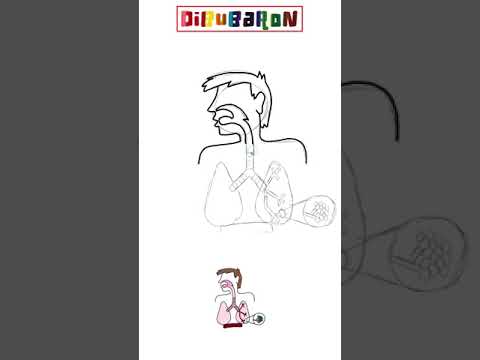 Dibujando el sistema