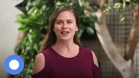 Program Introduction | Technical Support Fundamentals | Week 1