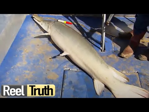 Robson's Extreme Fishing Challenge | US, Texas | S01 E05 | Reel Truth Documentaries
