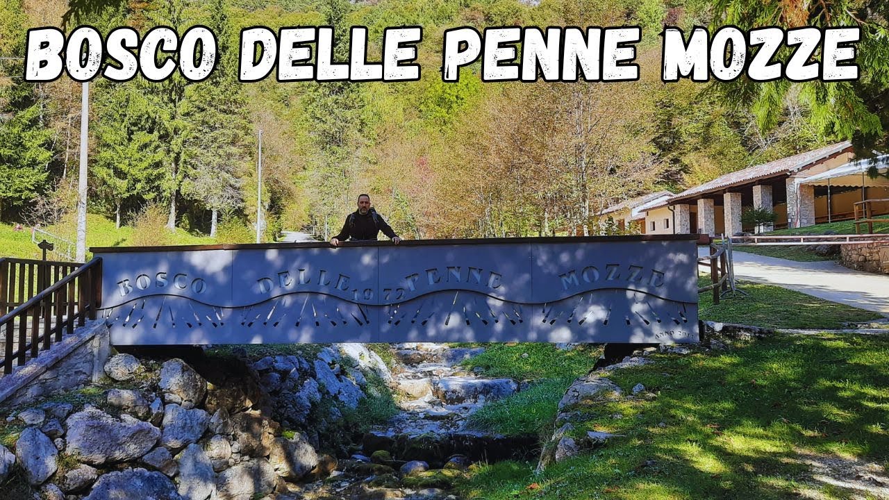 BOSCO DELLE PENNE MOZZE Cison Di Valmarino Tv YouTube bosco-delle-penne-mozze-cison-di-valmarino-tv-youtube