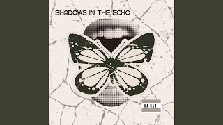 Shadows in the Echo