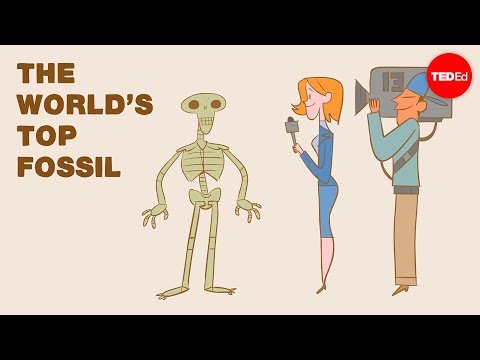Vídeo: Com es forma un fòssil conservat?