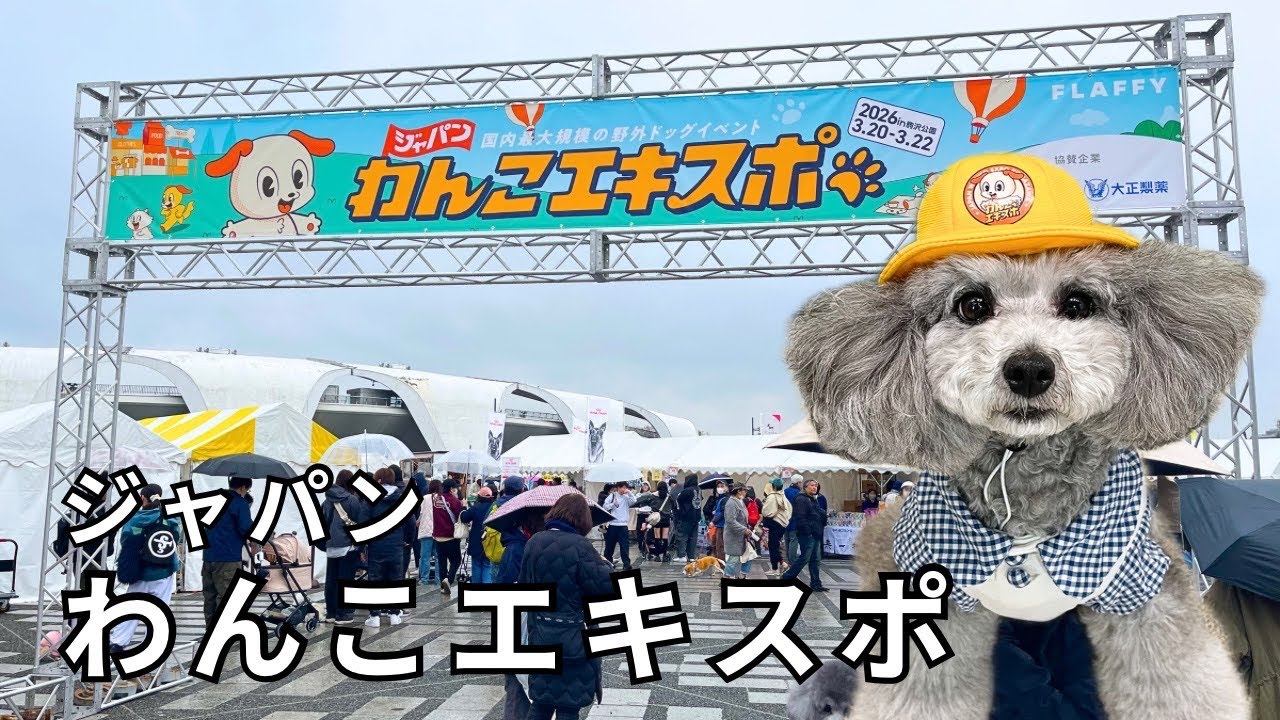 わんこ 初日レポ】ジャパンわんこエキスポに行ってきました - YouTube