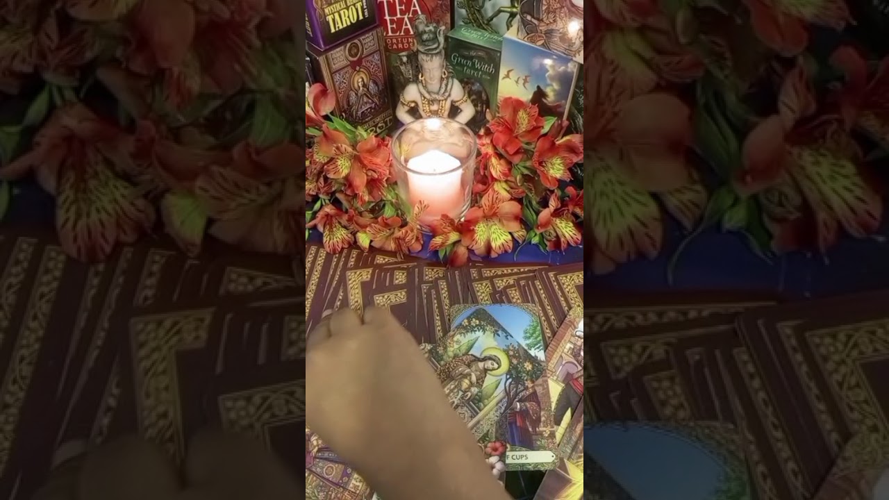 මේ වීඩියෝ එක ඔයා මාර්තු 08 ට කළින් බලනවානම් මේවා ඔයාට වෙනවාමයි#tarotreading #viral #tarot #pfy#ppp#