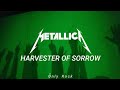 Metallica - harvester of sorrow (Sub español)