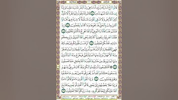 سورة البقرة /الغامدي /ص11
