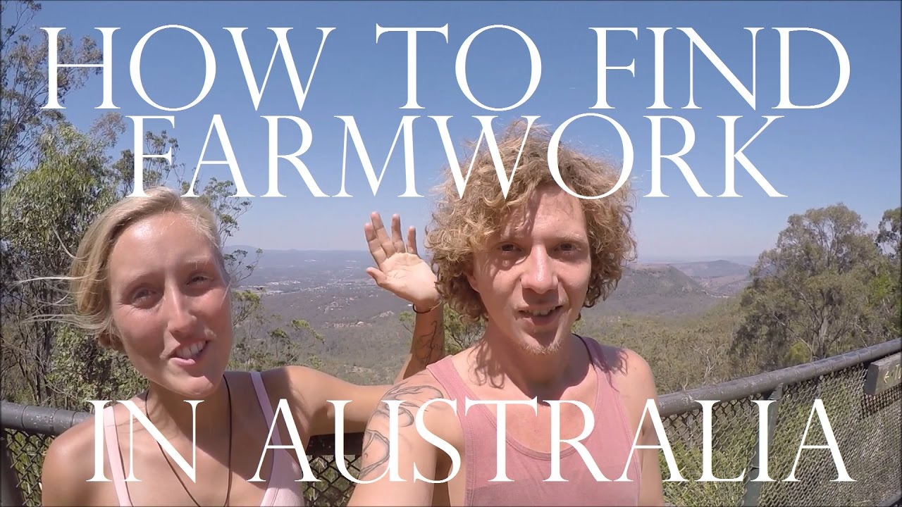 work and travel farm australia
