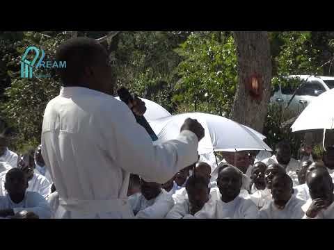 The African Apostolic