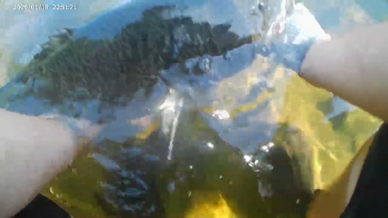 Day & Night Fishing for Murray Cod