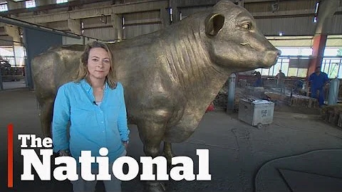 Fideo Castro | Cuba Celebrates Canadian Bull