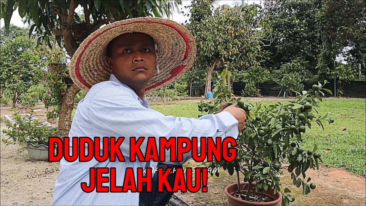 DUDUK KAMPUNG JELAH KAU !