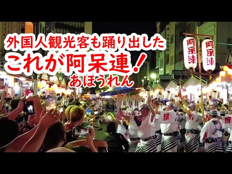 [2023/8/12]徳島 阿波おどり これがあの阿呆連の踊り！外国人観光客も踊り出した！Awa-odori in Tokushima, Ahouren-group dance