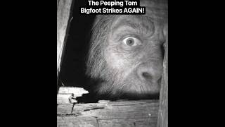The Peeping Tom Bigfoot Photos Part 2 😳 #shorts #bigfoot
Here is a YouTube Shorts / TikTok video of the peeping tom bigfoot photos part 2, the new clearest photos of bigfoot’s face! New HD photos of a bigfoot like creature super close up, a shockingly clear look at a sasquatchs face. The story behind this insanely clear photograph evidence is SHOCKING... Subscribe for more scary bigfoot trail cam videos & the best evidence of Cryptid creatures on YouTube!
#bigfoot #cryptids #trailcam #horror #shorts #shortsyoutube #scaryshorts
~ Maximum Fear :) The Peeping Tom Bigfoot Photos Part 2 😳 #shorts #bigfoot