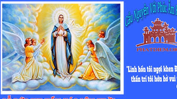Lễ Đức Mẹ Hồn Xác Lên Trời: Linh hồn tôi ngợi khen Đức Chúa, thần trí tôi hớn hở vui mừng