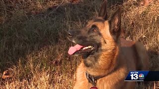 Search K9 trained to detect human remains helps bring families closure