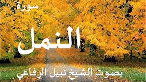 027  سورة النمل بصوت الشيخ نبيل الرفاعي