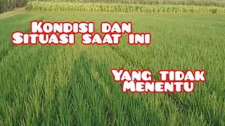 Saatnya Satrio Piningit Muncul Di Tahun Ini