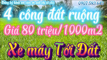 89) kẹt tiền bán gấp 4 công đất ruộng mặt tiền đường dal giá 80tr/1000m2, giồng riềng.kiên Giang