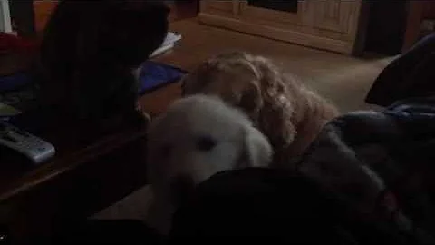 Friends helping friends