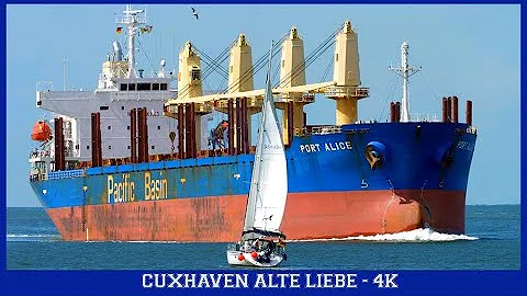 Ship Spotting Cuxhaven Alte Liebe | 1H23 of Massive Cargo Ships in 4K Ultra HD
