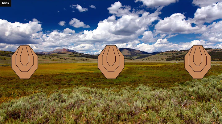 DryFireOnline.com drill: IPSC El Presidente