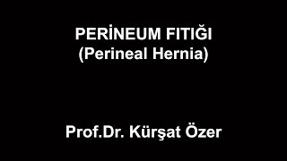 Perineum Fıtığı Perineal Hernia
