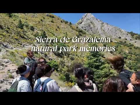 Field trip in Sierra de Grazalema natural park