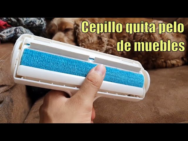 Quita Eliminador Motas Limpia Pelos De Mascota Perros Y Gato