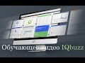 Работа в новом кабинете IQBuzz - видеоучебник