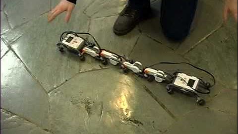 From Bricks to Brains: Feedback from the Worm