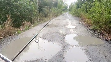 câu lure cá lóc tân phước  tiền giang