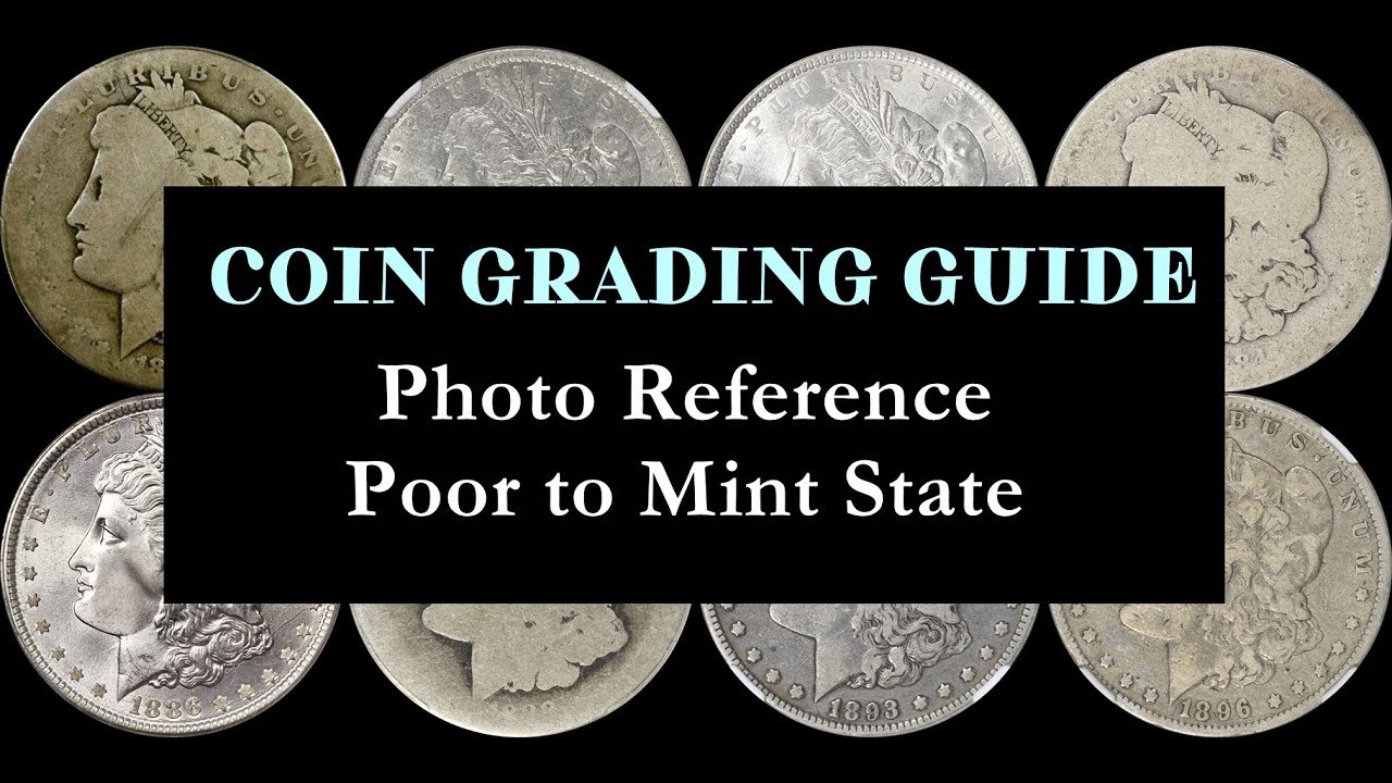 THE ULTIMATE COIN GRADING PHOTO GALLERY - Comprehensive Poor-MS Visual