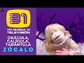 31 Minutos: Drácula, Calígula, tarántula - ZÓCALO 2026