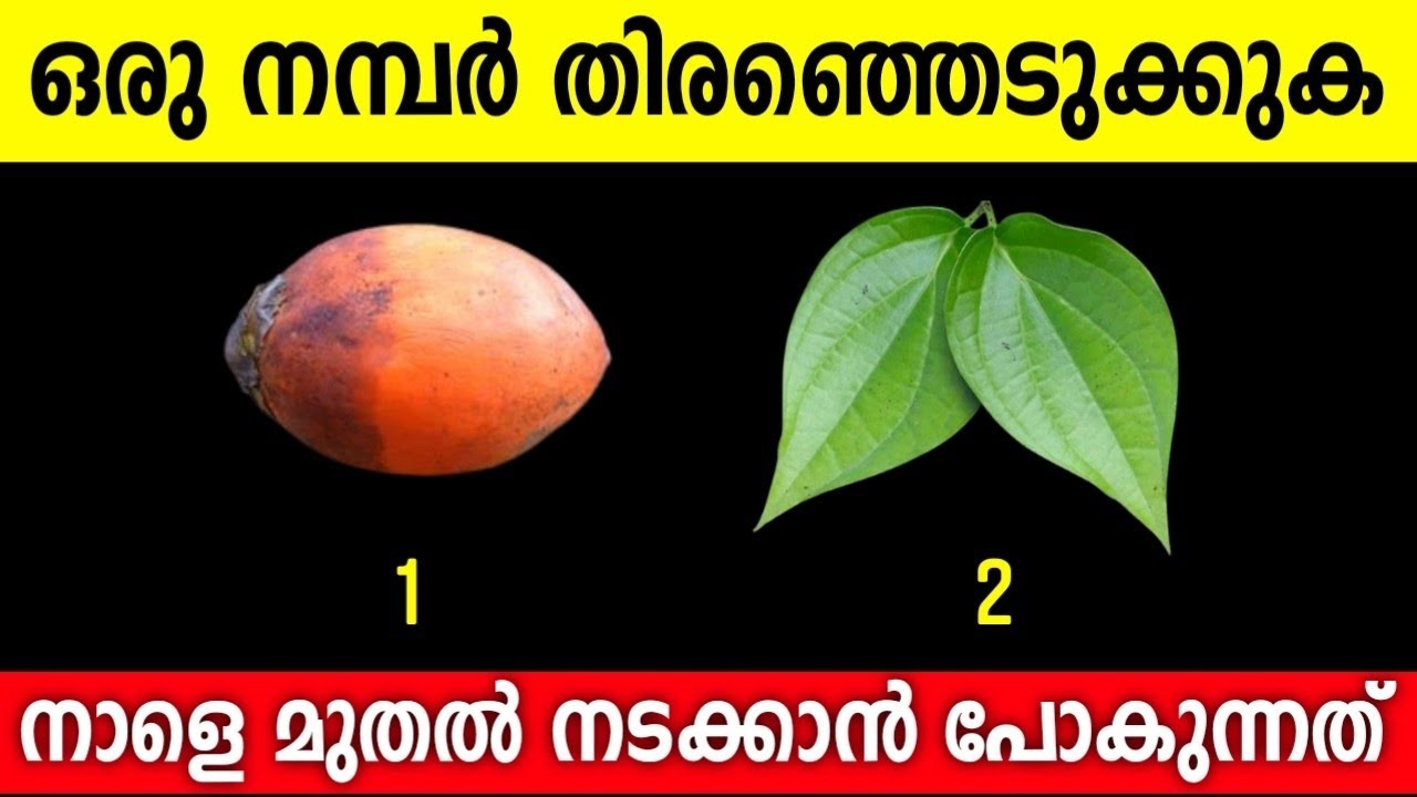 ഒരു ചിത്രം തിരഞ്ഞെടുക്കുക | അറിയാം ഭാവി എങ്ങനെയാകും എന്ന് 