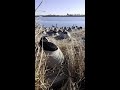 Andrew practiced great hunter saftey. Whats a close call you had while hunting?