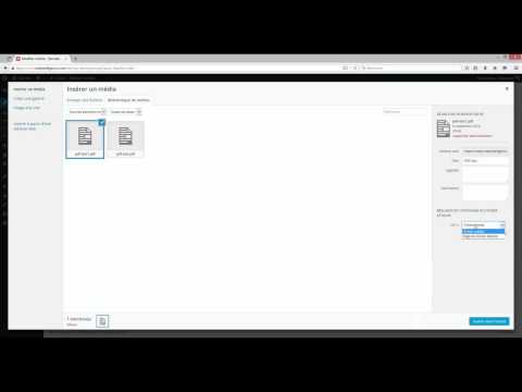 tutoriel-n°1-:-comment-insérer-un-pdf-dans-un-article-wordpress-?