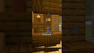 MİNECRAFT'TA MUSLUK YAPMAK!?!