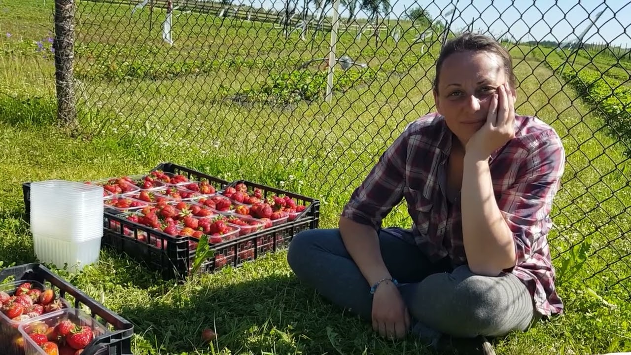 SU MEILE JUMS 🍓🍓🍓🍓🍓kvieceme Jus🤗🤗🤗