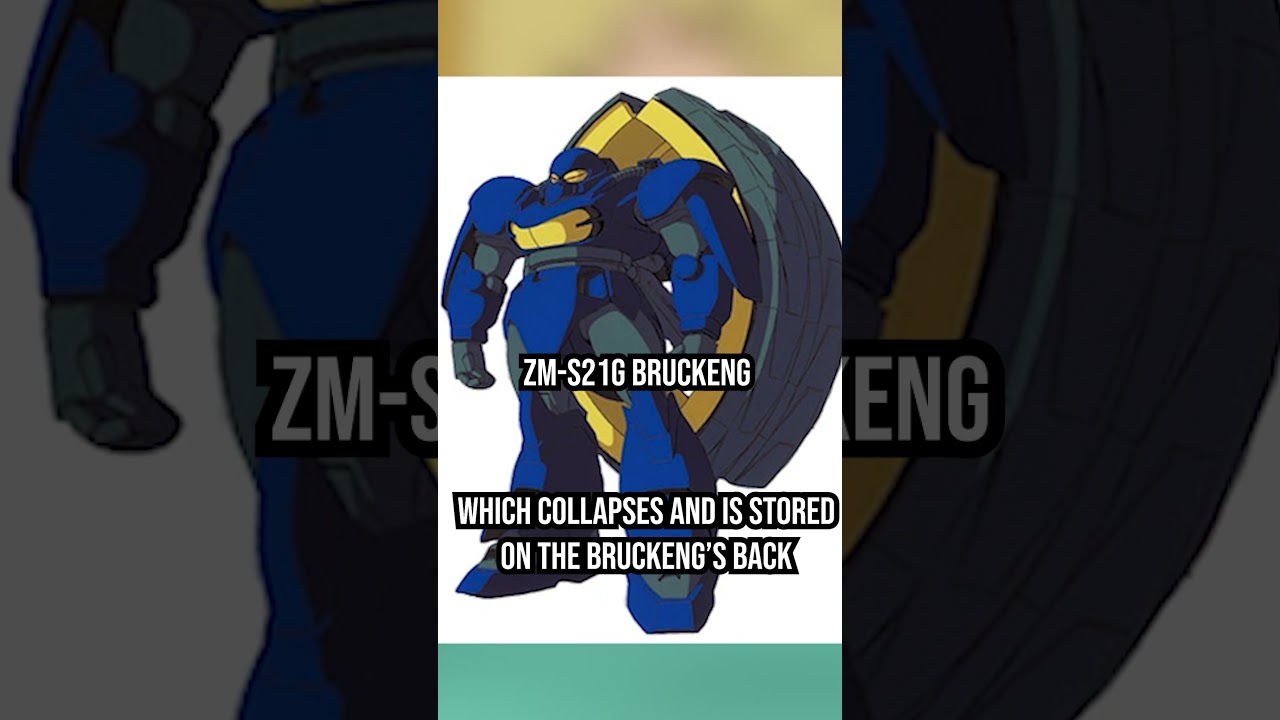 ZM S21G Bruckeng 