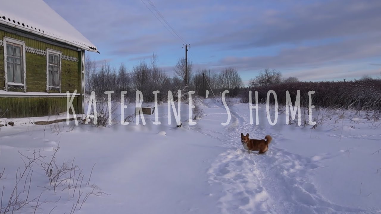 Мороз и радость: новогодняя поездка в деревню.