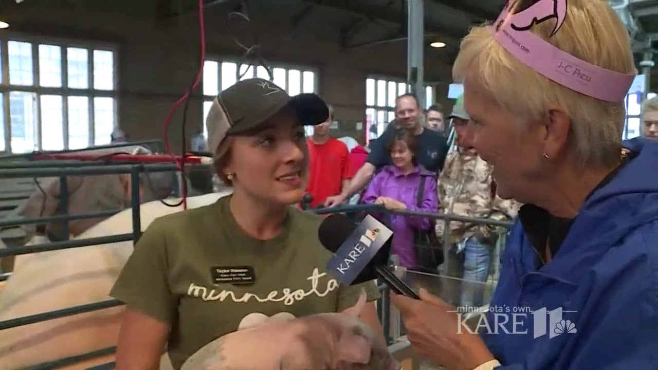 Swine barn undergoes renovation - KARE at the Fair