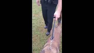 National Night Out with Livingston County Sheriff's Office