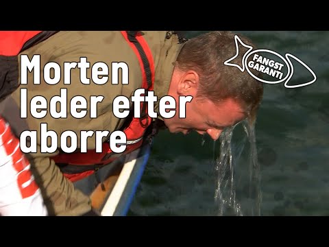 Video: Sådan Tørrer Du Aborre